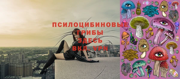 спайс Горняк