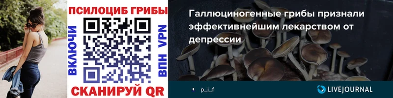 Псилоцибиновые грибы мухоморы  цены наркотик  Джанкой 