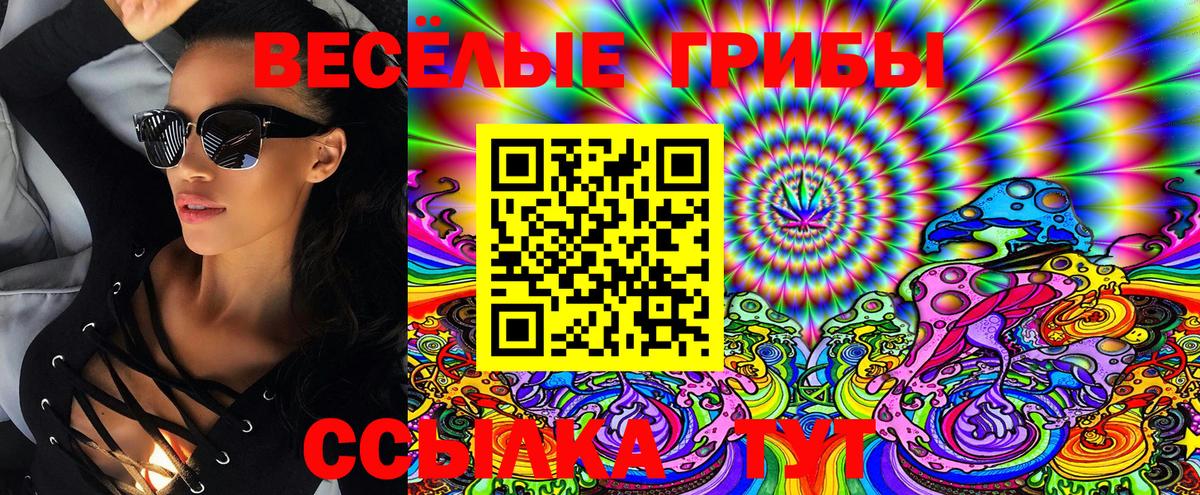 Джанкой  Псилоцибиновые грибы GOLDEN TEACHER  Псилоцибиновые грибы Cubensis  Вход с VPN 