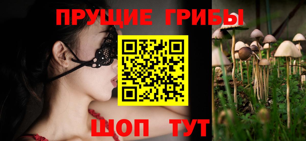 Псилоцибиновые грибы GOLDEN TEACHER Джанкой